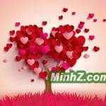 nhung caption tha thinh hay