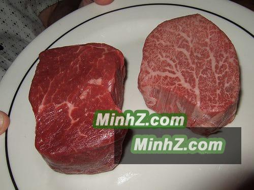 phan biet bo kobe that